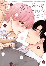 君ってやつはこんなにも【電子限定漫画付き】 パッケージ画像表