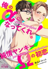 俺のαになってくれ!純情ヤンキーΩの初恋(2) パッケージ画像表