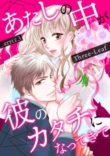 あたしの中が彼のカタチになってきて 第3巻 パッケージ画像表