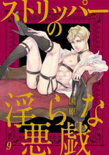 ストリッパーの淫らな悪戯9 パッケージ画像表