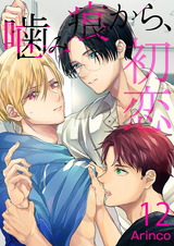 噛み痕から、初恋(12) パッケージ画像表