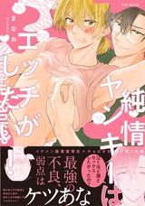 純情ヤンキーはエッチがしたい! パッケージ画像表