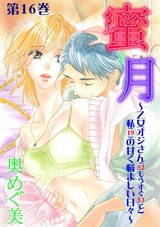 蜜月~乙女オジさん(52もうすぐ53)と私(19)の甘く悩ましい日々~ 16 パッケージ画像表