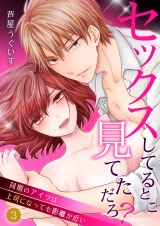 セックスしてるとこ見てただろ?~同期のアイツは上司になっても距離が近い~ 3 パッケージ画像表