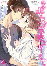 あのキスの意味をおしえて~義兄のイジワルな溺愛~ 4 パッケージ画像表