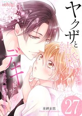 ヤクザと結婚なんてデキません!~その女、男装女子につき~ 27 パッケージ画像表