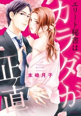 エリート秘書はカラダが正直 パッケージ画像表