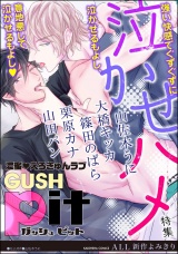 GUSHpit 泣かせハメ パッケージ画像表