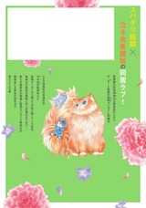 笑顔のウラには 3巻 パッケージ画像裏