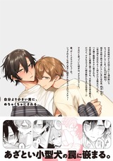 侮れないこいぬ パッケージ画像裏