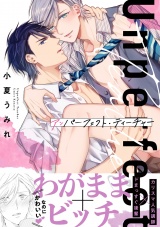 アンパーフェクト・ティーチャー【電子特別版】 パッケージ画像表