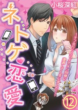 ネトゲ恋愛~オフ会行ったらイケメン同僚に遭遇してしまいました…~ 12 パッケージ画像表