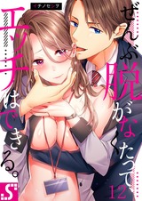 ぜんぶ脱がなくたって、エッチはできる。(12) パッケージ画像表