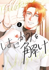 はにかみを解け(2) パッケージ画像表