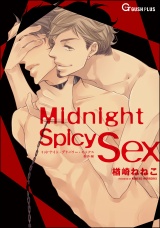 Midnight Spicy Sex パッケージ画像表
