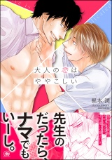 大人の恋はややこしい【電子限定かきおろし漫画付】 パッケージ画像表