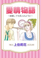 愛情物語 パッケージ画像表