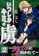 いつしかキミの虜~幼なじみに二度抱かれて~2 パッケージ画像表