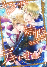ヤクザと結婚なんてデキません!~その女、男装女子につき~【描き下ろしおまけ付き特装版】 3 パッケージ画像表