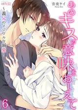 あのキスの意味をおしえて~義兄のイジワルな溺愛~ 6 パッケージ画像表