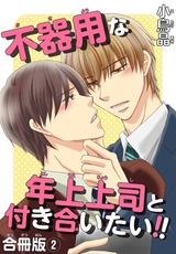 不器用な年上上司と付き合いたい!! 合冊版2 パッケージ画像