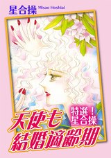 特選!星合操 天使も結婚適齢期 パッケージ画像