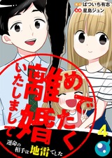 めでたく離婚いたしまして～運命の相手は地雷でした4 パッケージ画像