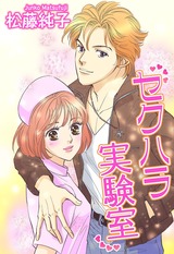 セクハラ実験室 パッケージ画像表