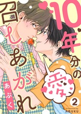 10年分の愛、召しあがれ2 パッケージ画像表