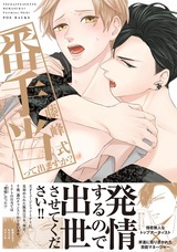 番手当って出ますか? パッケージ画像表