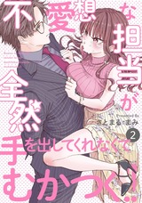 不愛想な担当が全然手を出してくれなくてむかつく!!(2) パッケージ画像表