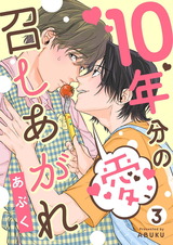 10年分の愛、召しあがれ3 パッケージ画像表