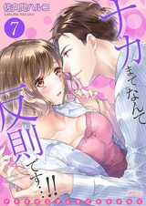 ナカまでなんて反則です…!!~デキすぎ王子ときどきオオカミ~ 7 パッケージ画像表