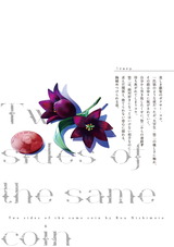 Two sides of the same coin 下 パッケージ画像裏