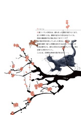 化け猫かたって候 パッケージ画像裏