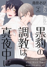 黒豹の調教は真夜中に 2 パッケージ画像表
