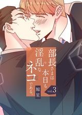 部長さまは本日も淫乱なネコである。(フルカラー) 【特装版】 3 パッケージ画像表
