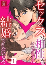 セックスの相性も分からずに結婚できないだろ 1 パッケージ画像表