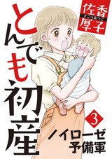 とんでも初産3 パッケージ画像表