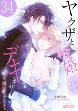 ヤクザと結婚なんてデキません!~その女、男装女子につき~ 34 パッケージ画像表
