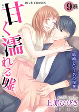 甘く濡れる嘘～結婚という名の復讐～（9巻） パッケージ画像