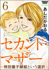 【分冊版】セカンド・マザー 【特別養子縁組という選択6】 パッケージ画像