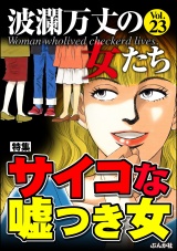 波瀾万丈の女たち Vol.23 サイコな嘘つき女 パッケージ画像