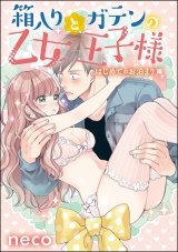 【単話版】箱入り乙女とガテンの王子様 はじめてのお泊まり編 パッケージ画像