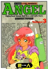 ANGEL（エンジェル） 改訂版 3 パッケージ画像