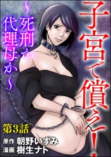 【分冊版】子宮で償え！ 〜死刑か代理母か〜 【第3話】 パッケージ画像