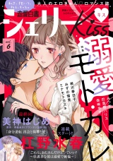 恋愛白書シェリーKiss vol.6 パッケージ画像