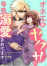 オネエ系ヤクザに毎晩溺愛されてます【描き下ろしおまけ付き特装版】 2 パッケージ画像