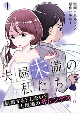 夫婦未満の私たち～結婚する?しない?土壇場のサドンデス1 パッケージ画像