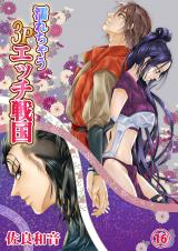 濡れちゃう3Pエッチ戦国16 パッケージ画像表